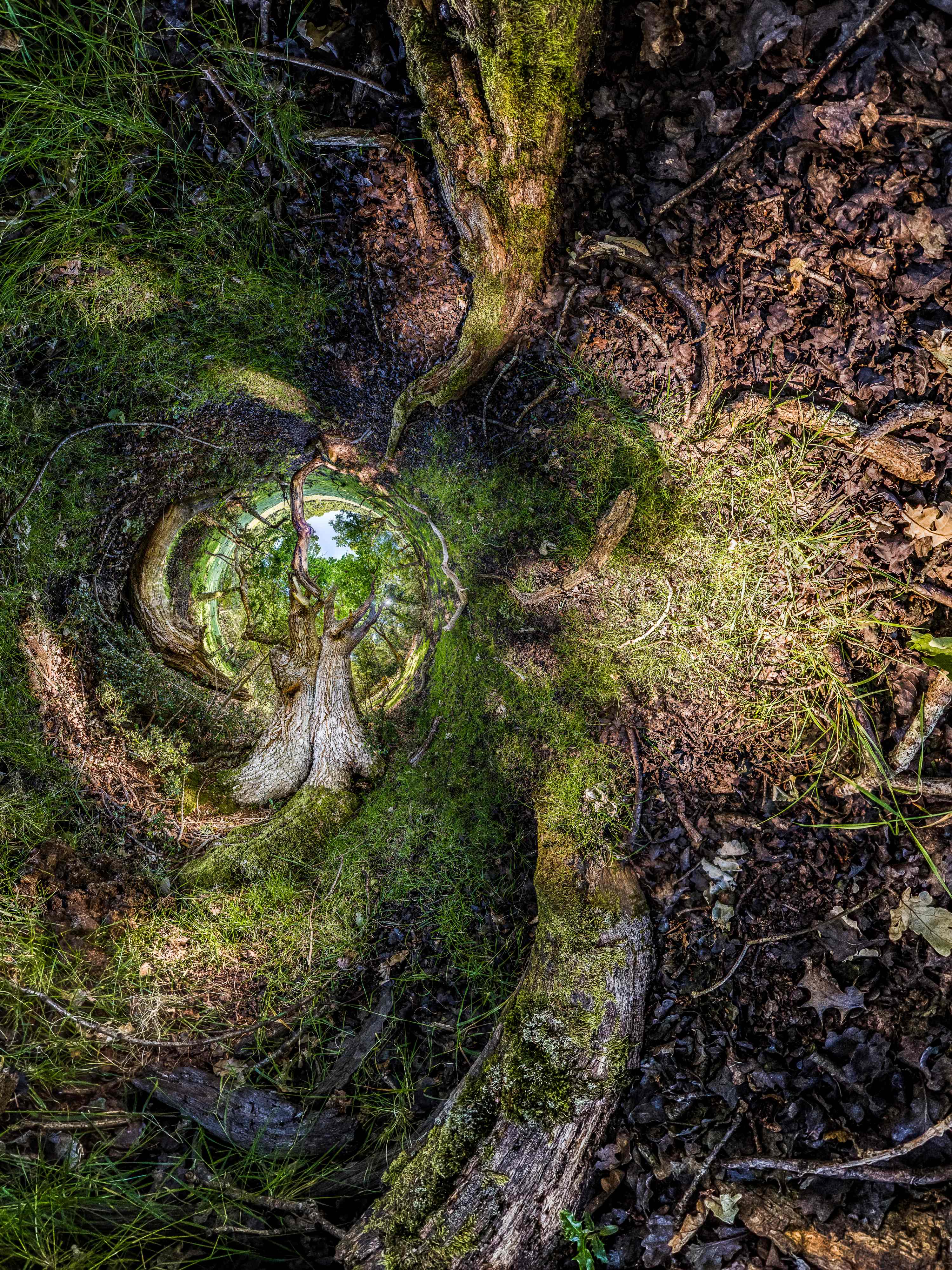 A turbulent 360 degree panorama of a portal opening up in the forest floor.