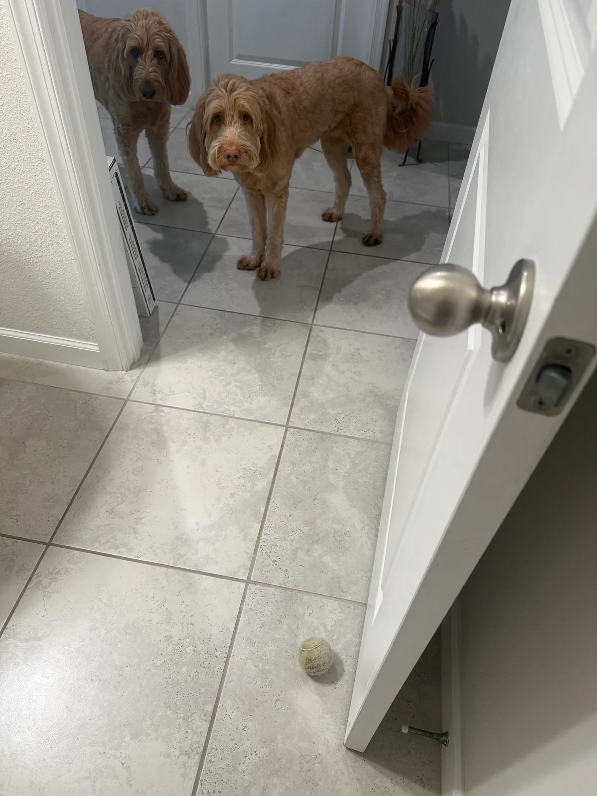 Sunshine: The bathroom is lava