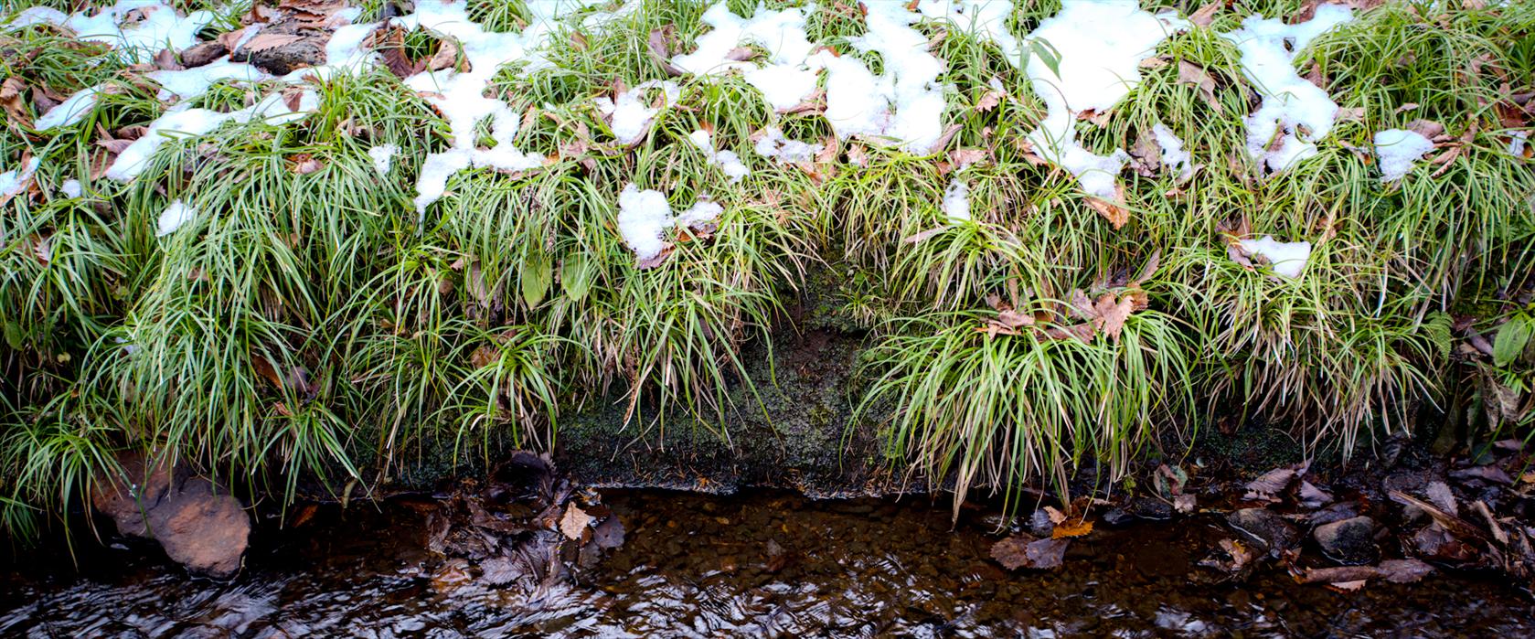 Anamorphic lens photo of snow and a creek.